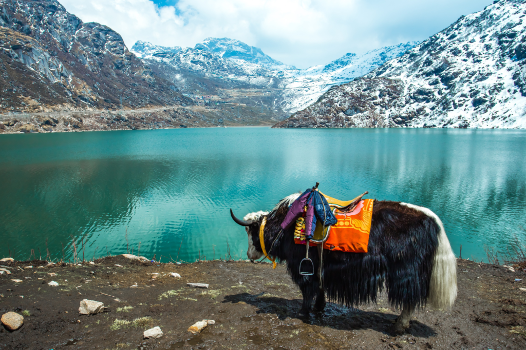 Sikkim Gangtok