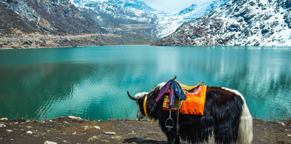 Sikkim Gangtok