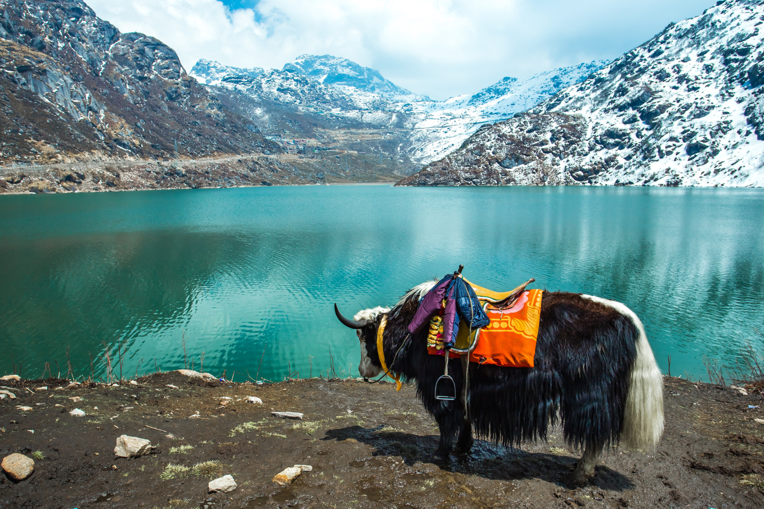 Ladakh Tour